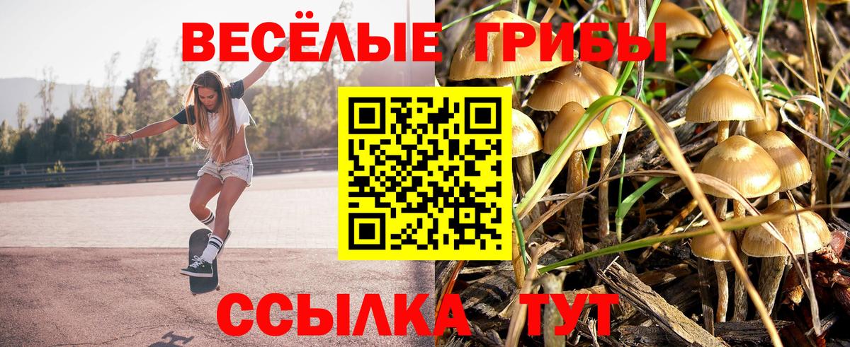 Брянск  Галлюциногенные грибы мухоморы  Вход с VPN 